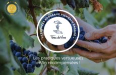 Médaille d'or Clos Puy Arnaud Bordeaux Vignoble Engagé