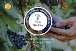 Médaille d'or Clos Puy Arnaud Bordeaux Vignoble Engagé
